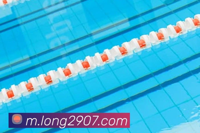 龙8-long8(国际)官方网站全站App